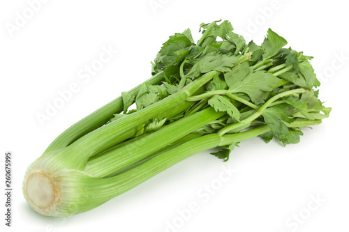 Celery steam on white