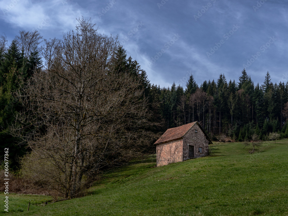 Alte Steinhütte am Waldrand