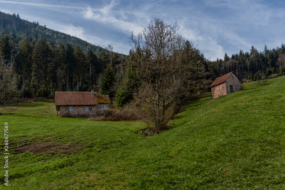 Alte Steinhütte am Waldrand