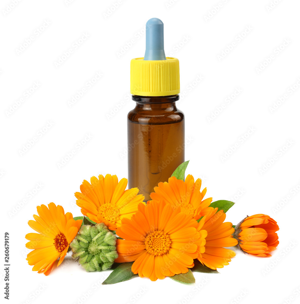 bottle with marigold oil with marigold flowers isolated on white background. calendula flower. bottle with marigold oil with marigold flowers isolated on white background. calendula flower.