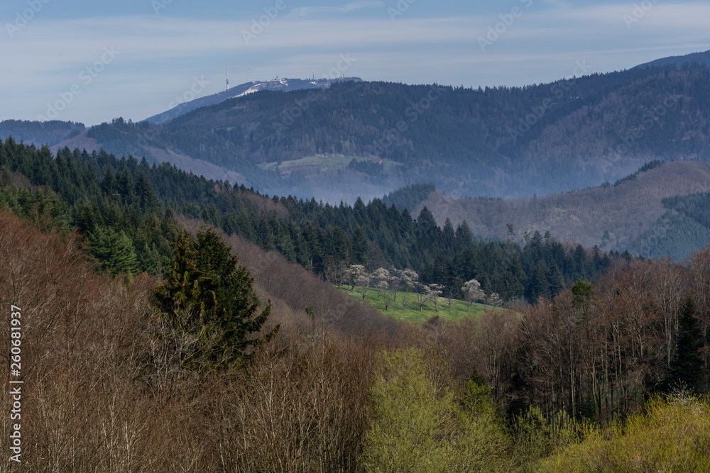 Panorama Landschaft im Schwarzwald