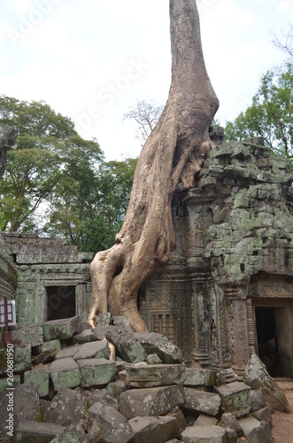 ta prohm temple in cambodia