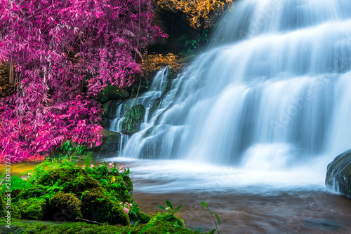Amazing in nature  beautiful waterfall at colorful autumn forest in fall season