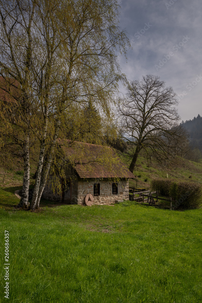 Alte Wassermühle im Schwarzwald