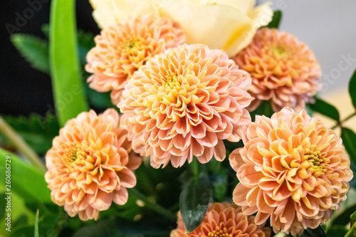 flower detail in orange
