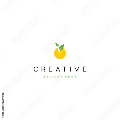 Orange Fruit Meal Creative Logo Design Template Element Vector Illustration