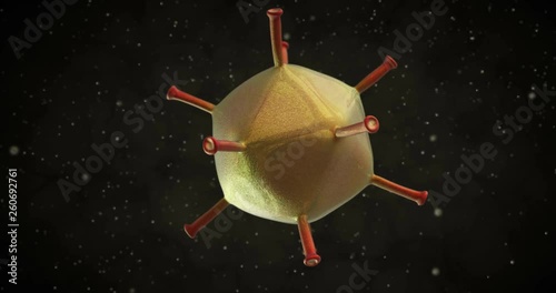 3D animation of a adenovirus virus 
