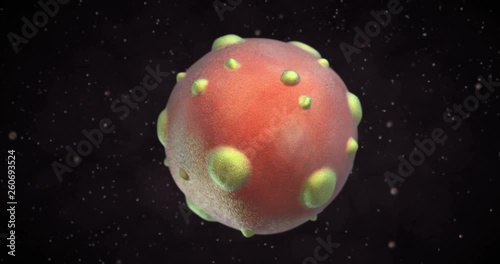 3D animation of a hantavirus virus  photo