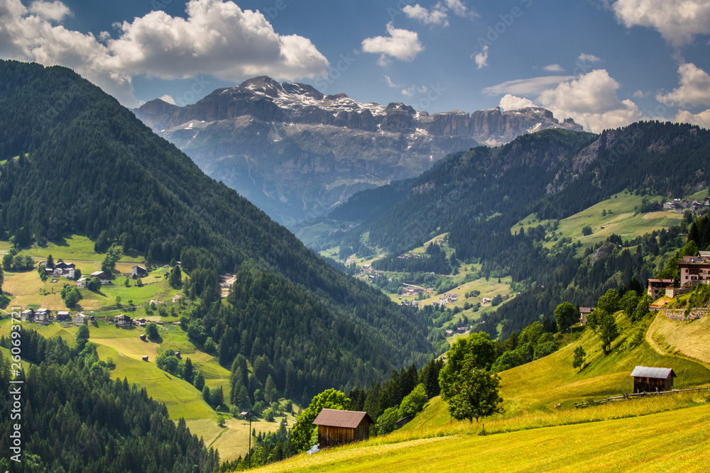 Fototapeta premium landscape forest in trentino with dolomiti mountain