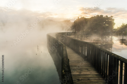 Kuirau Park, Rotorua  © rodcoffeehill