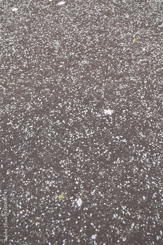 tapis