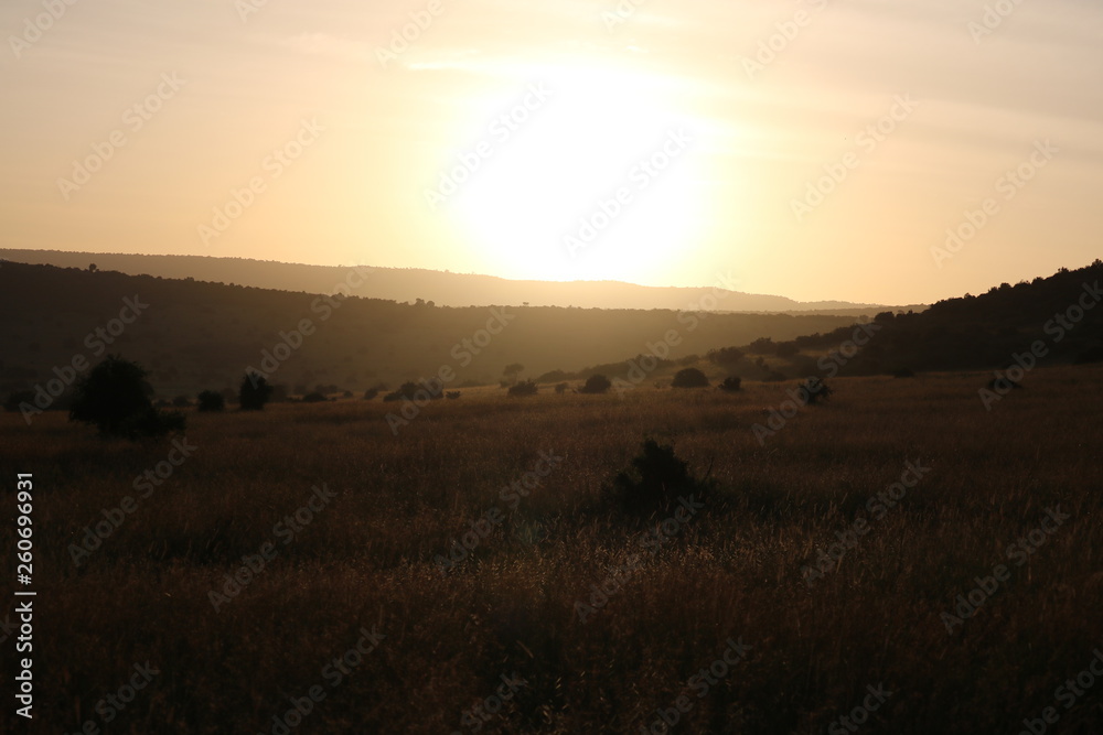 Landscape Masai Mara Africa