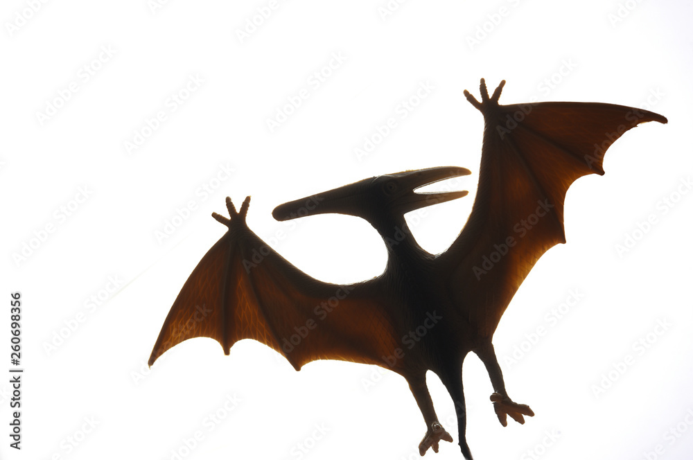 Isolated Dinosaurs model on white background Isolated Dinosaurs model on white background