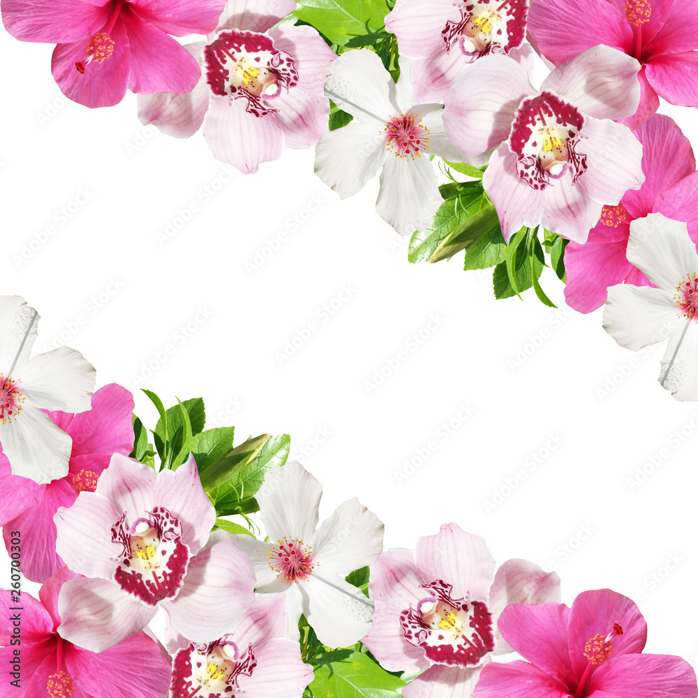 Beautiful floral background of hibiscus and orchids. Isolated
