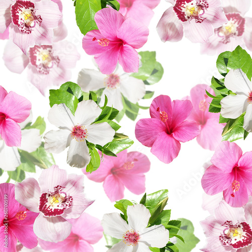 Beautiful floral background of hibiscus and orchids. Isolated