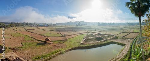 Obraz na plátně Huts on havested ricefield