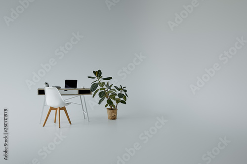 green ficus in flowerpot, table with laptop and white chair on grey background