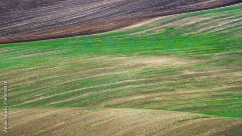 Autumn fields in South Moravia