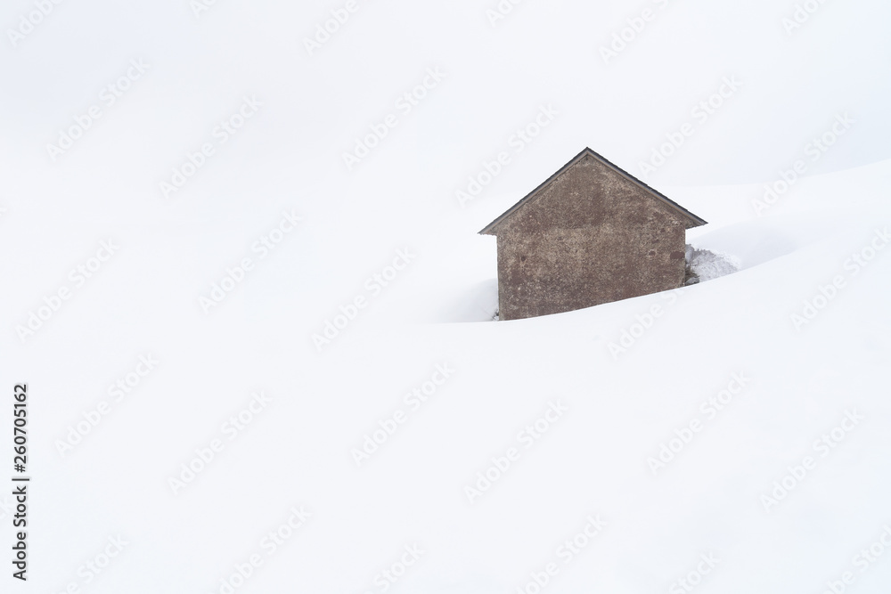 Fototapeta premium house in snow