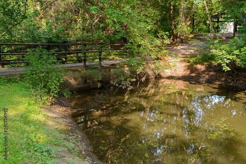 Old pedestrian bridge over a pond in the forest on a summer afternoon
