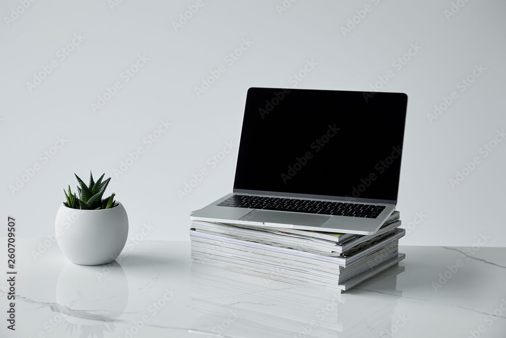 Fototapeta premium laptop on stack of journals, and flowerpot isolated on grey