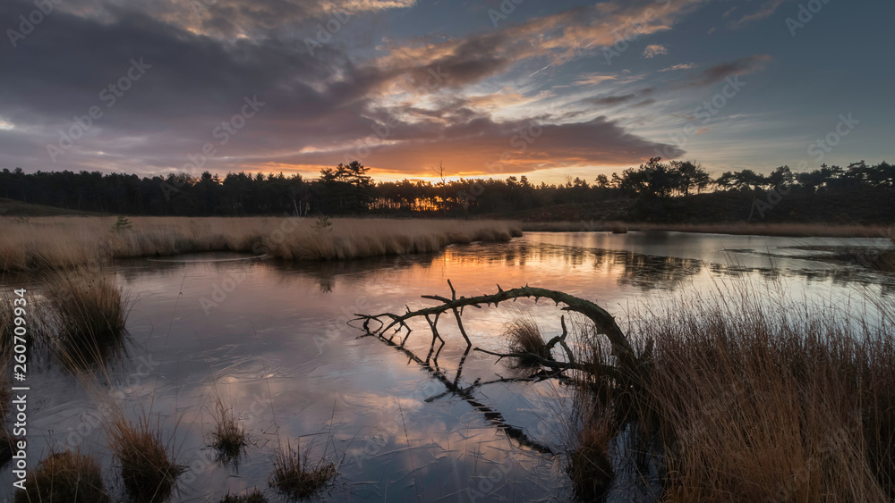 sunrise with colorful sky above a fen with a thin layer of ice on it and a dead branch in the foreground, in the Hatertse Vennen, Nijmegen, The Netherlands