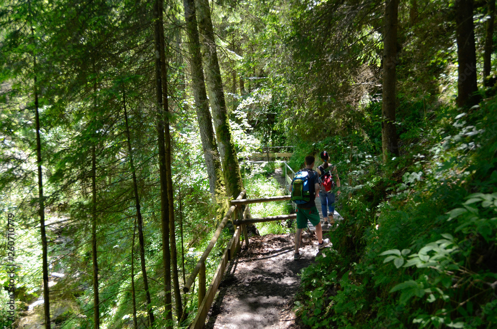 Hiking trail through the forest with two people