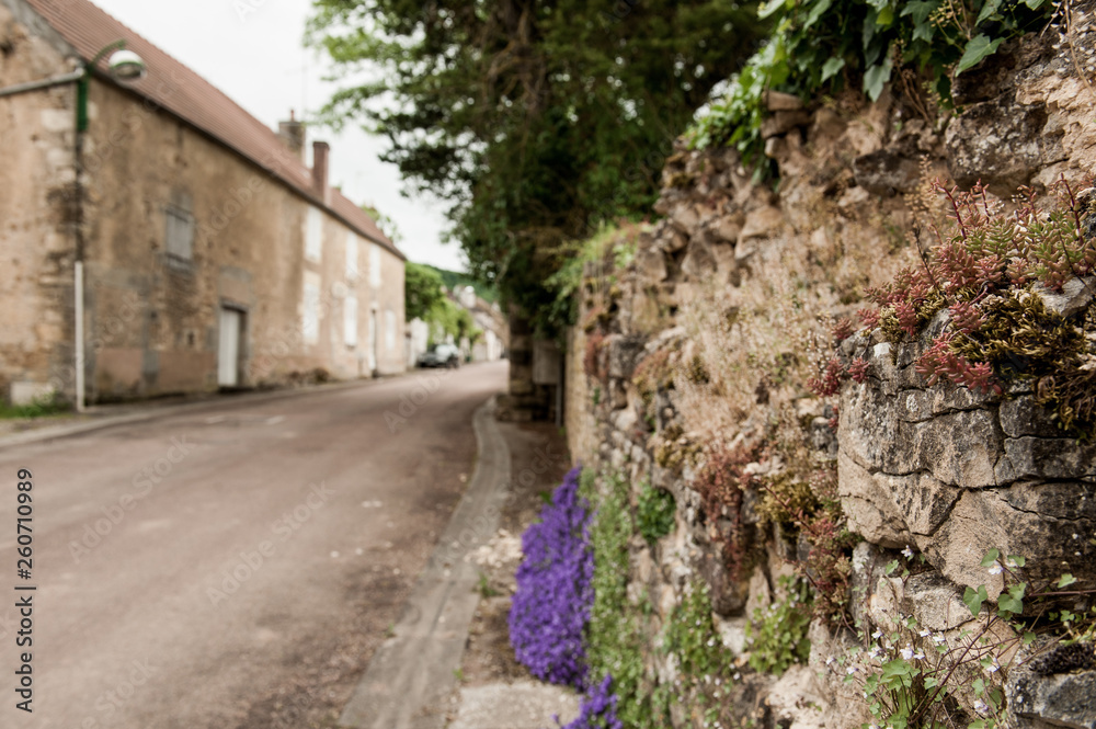 Strassenmauer in Frankreich mit wildem Bewuchs.