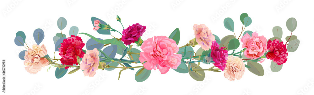 Panoramic view of carnation schabaud: pink, white, red flowers, leaves eucalyptus populus, white background, illustration in watercolor style for Mother's Day, horizontal border, vector