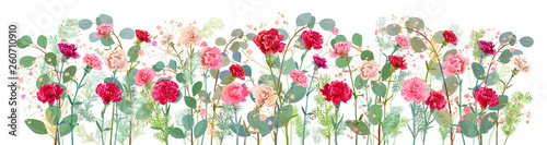Panoramic view of carnation, pink, white, red flowers, leaves eucalyptus, twigs gypsophile, asparagus, white background, illustration in watercolor style for Mother's Day, horizontal pattern, vector
