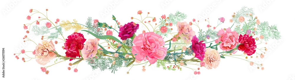 Panoramic view of carnation schabaud: pink, white, red flowers, twigs gypsophile, asparagus, white background, illustration in watercolor style for Mother's Day, horizontal pattern, vector