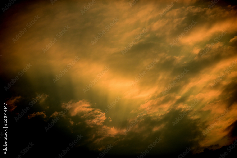 Fototapeta premium sunset in green field, Sunset at the lake And the sky with golden clouds.