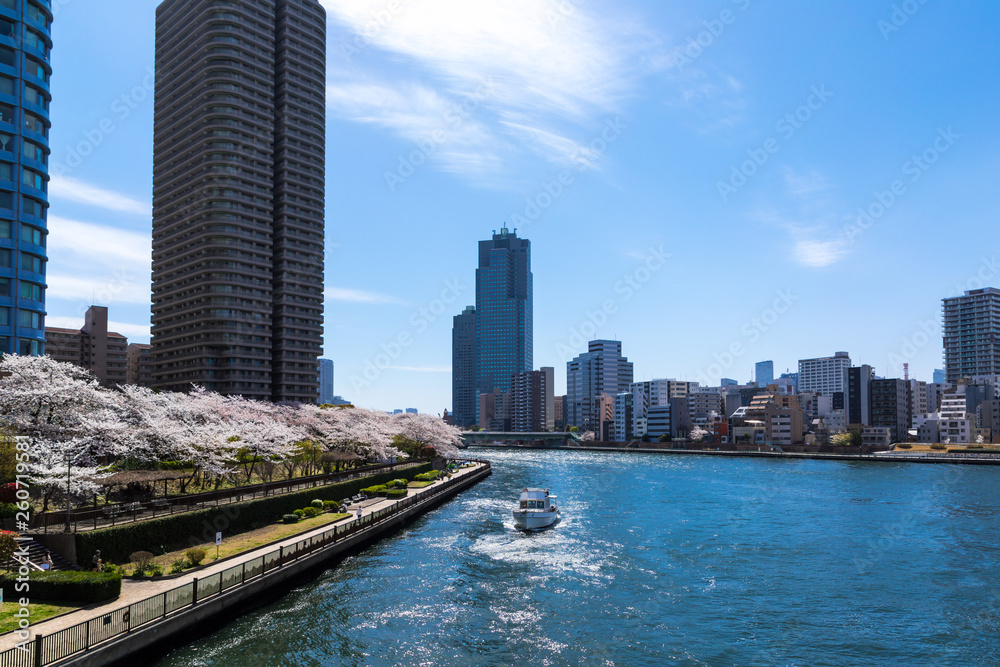 東京都ｰ都市風景 ウォーターフロント新川沿いの風景１９ Stock 写真 Adobe Stock