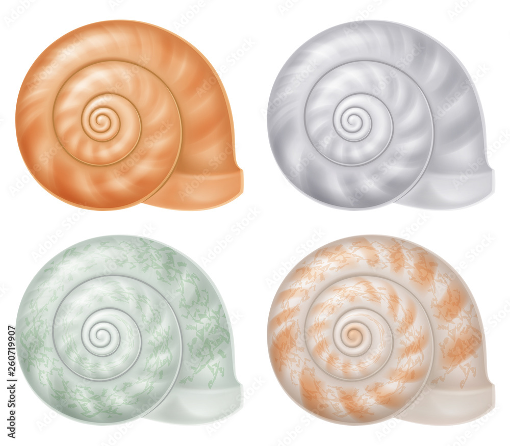 Set of seashells. Vector illustration. Set of seashells. Vector illustration.
