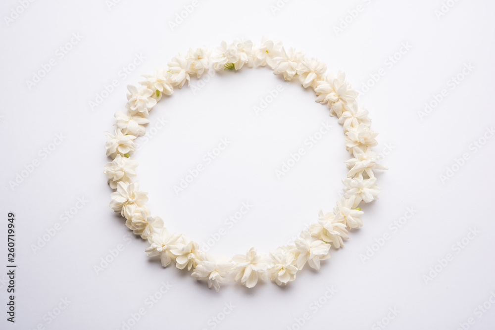 Jasminum sambac or Mogra Flower arranged in a circular or rectangular frame shape over white background, selective focus Jasminum sambac or Mogra Flower arranged in a circular or rectangular frame shape over white background, selective focus