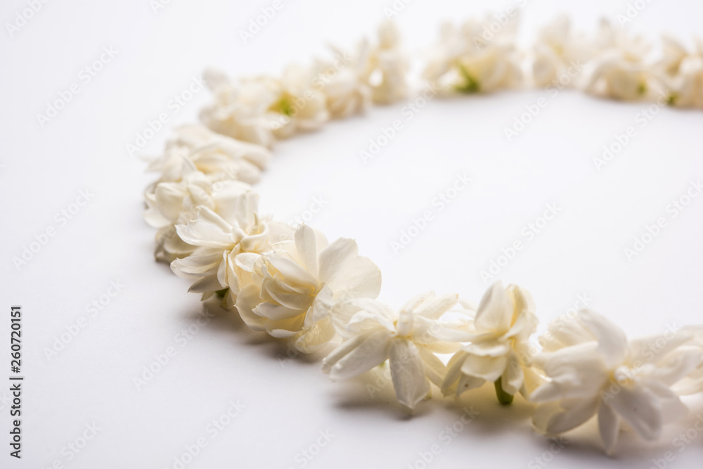 Jasminum sambac or Mogra Flower arranged in a circular or rectangular frame shape over white background, selective focus Jasminum sambac or Mogra Flower arranged in a circular or rectangular frame shape over white background, selective focus