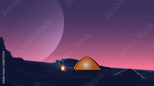 Starry sky  field  fire  tent. Night landscape.