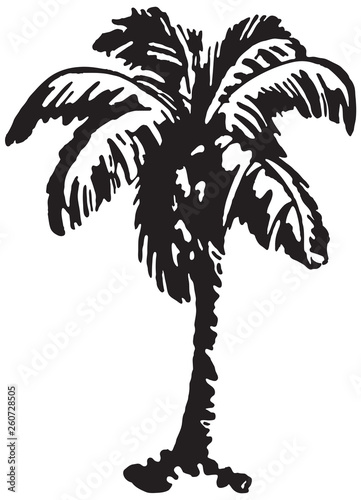 Palm Tree 2 - Retro Ad Art Illustration