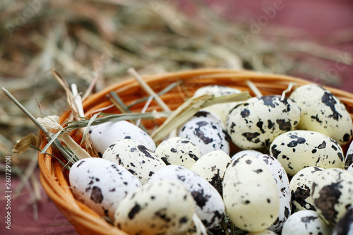 Spring. Bird's Nest. Quail eggs in a decorative basket with grass.