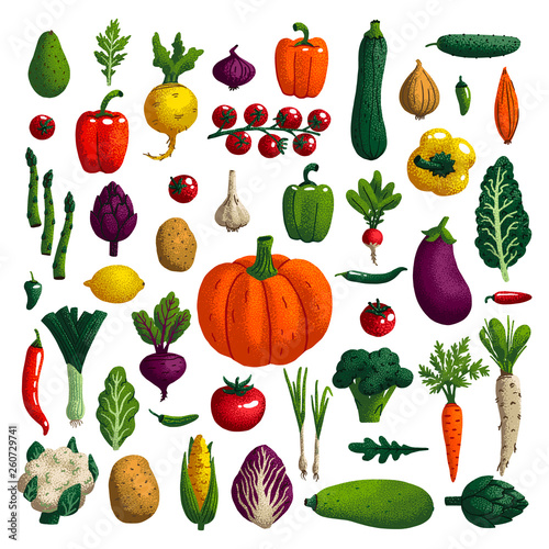 Vegetables set. Variety of decorative vegetables with grain texture isolated on white. Collection farm product for restaurant menu, market label. Vector illustration.