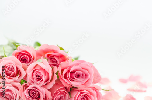 pink roses and rose petals on white blurred background with copy space. Close up  Flowers. Invitation mockup. Card template felicitation  congratulation.