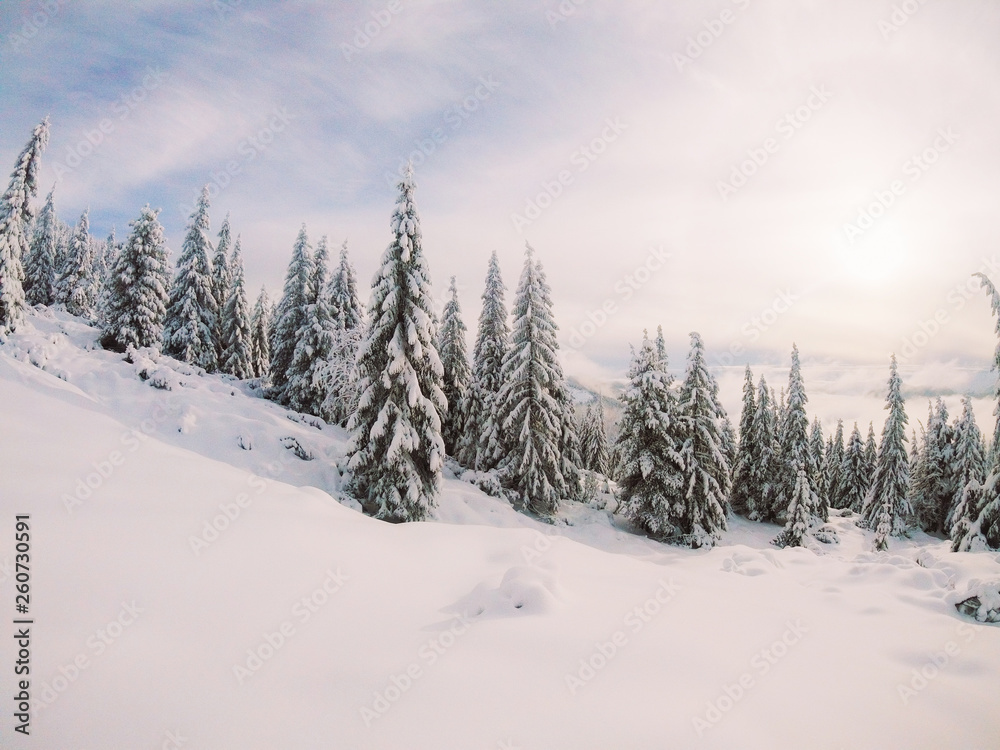 The most beautiful Ukrainian nature