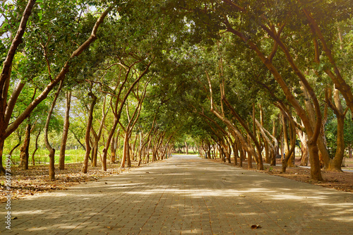 Beautiful scenic walkway of Yizai park around with a trees in Tainan city, Taiwan. photo
