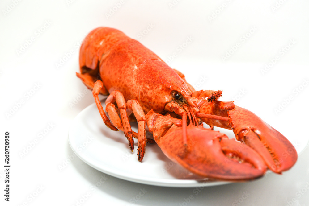 Lobster on plate isolated on white background
