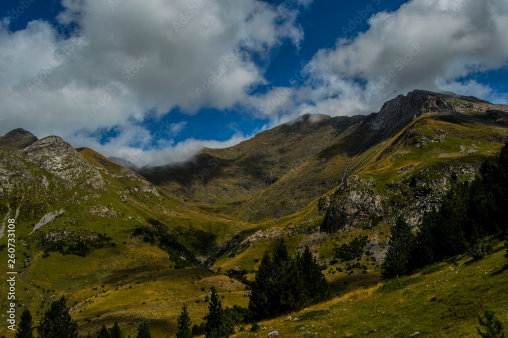 Obraz premium Pyrinees