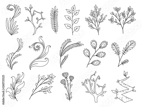 Vector designer coloring elements set collection of green forest fern, tropical green eucalyptus greenery art foliage natural leaves herbs, rose, flowers in watercolor style. Illustration for design.