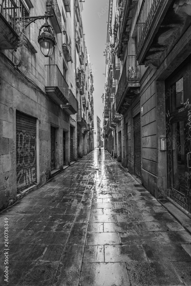 Fototapeta premium Paseo por el casco antiguo de Barcelona