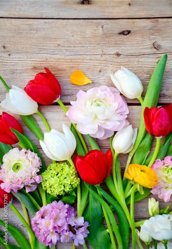 Frühling - Frühlingsblumen ...