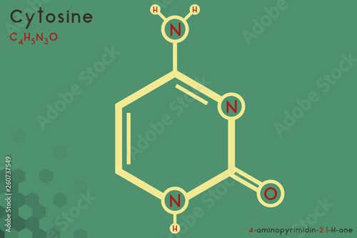 Large and detailed infographic of the molecule of Cytosine