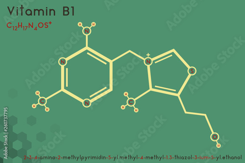 Large and detailed infographic of the molecule of Vitamin B1.
